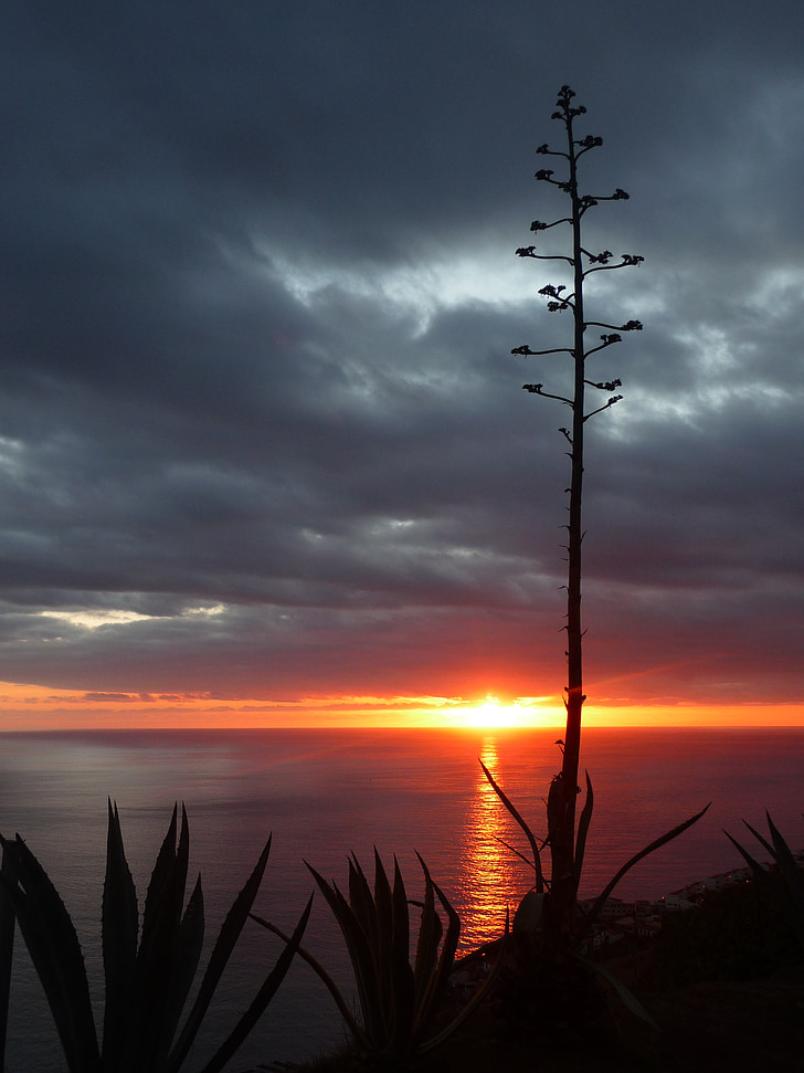 günbatımı, abendstimmung, Afterglow, romantizm, Deniz on Sunset
