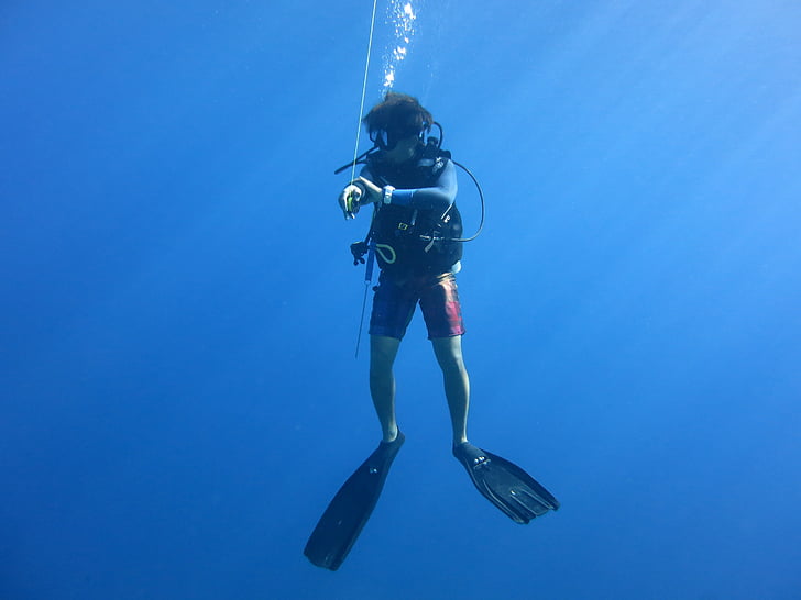 mergulhador, cilindro de mergulho, azul, parada de segurança, Scuba diver, mar, oceano