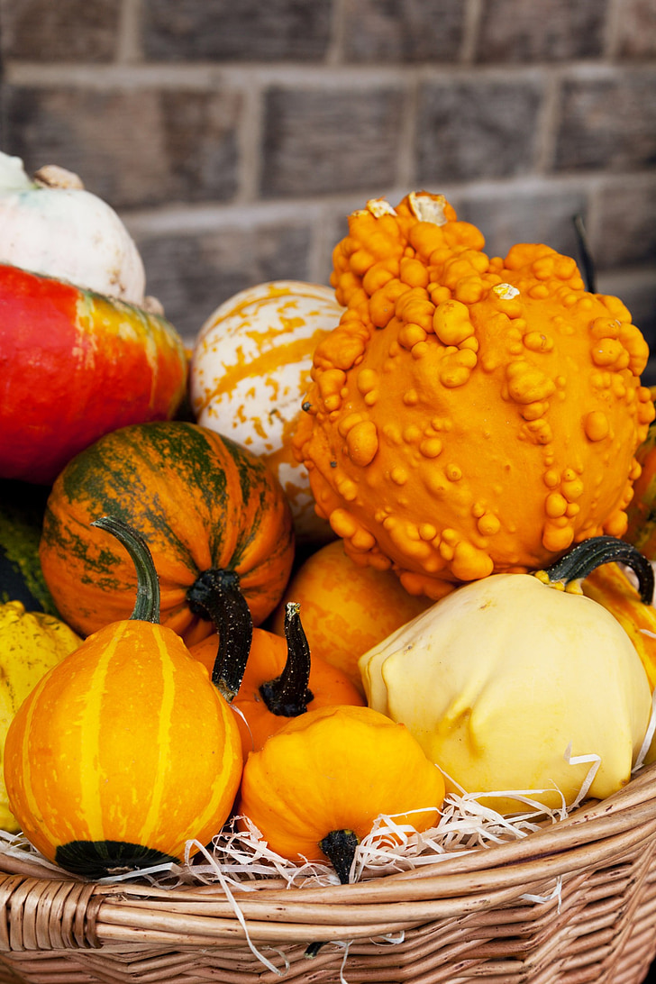 poľnohospodárstvo, jeseň, farebné, plodín, jeseň, jedlo, čerstvé