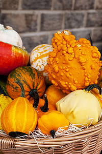 agricultura, Outono, colorido, das culturas, Outono, comida, fresco