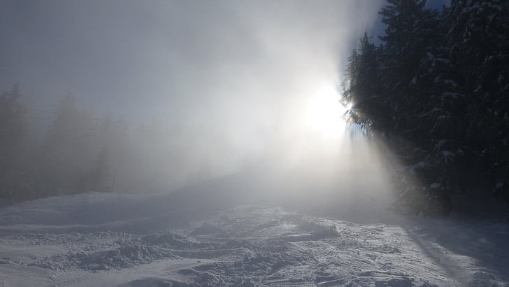 Allgäu, Alpine pekade, dimma, solen, vinter, snö, träd