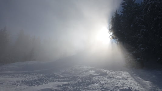 Allgäu, Alpu norādīja, migla, saule, ziemas, sniega, koki