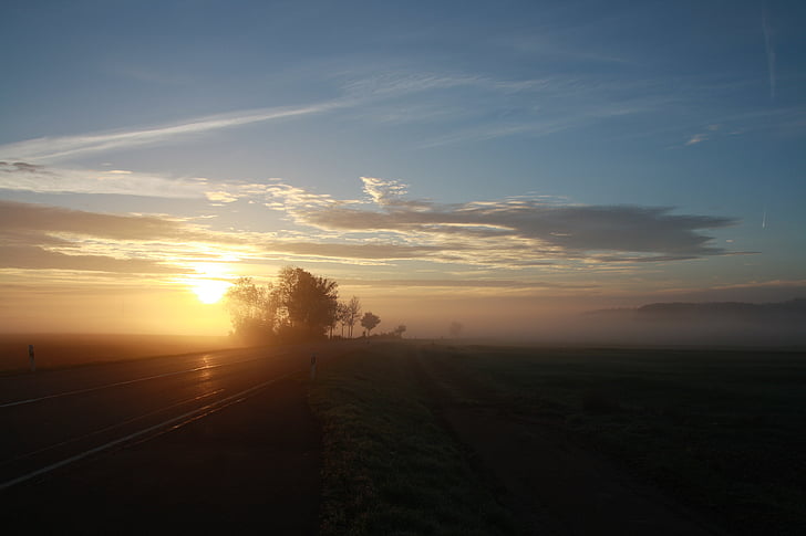 route, morgenstimmung, froide, automne, Haze, brouillard, paysage