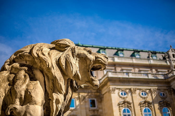 Budapest, Ungarn, Castle, statue, løve, arkitektur, Rejsemål