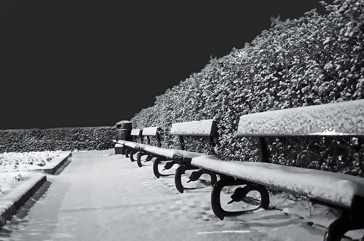 หิมะ, หิมะ, น้ำค้างแข็ง, ฤดูกาล, ม้านั่ง, ม้านั่ง, สีดำ
