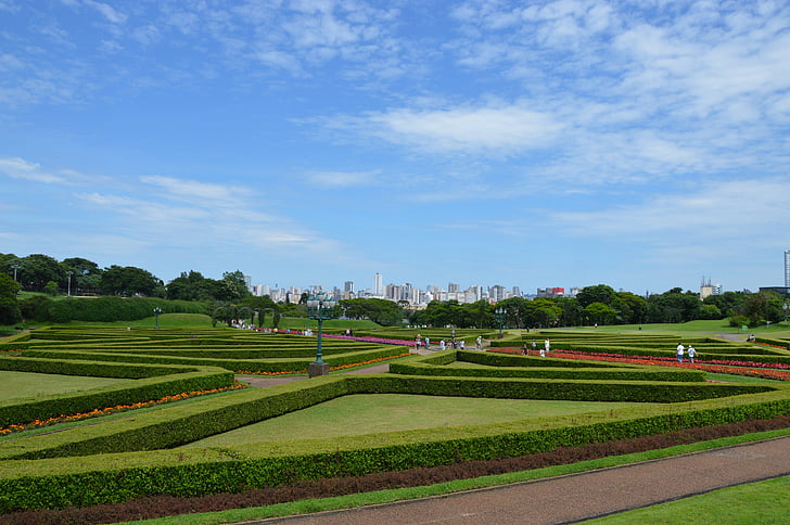 Sân vườn, vườn thực vật, Thiên nhiên, nhà thực vật học, màu xanh lá cây, Curitiba, thảm thực vật