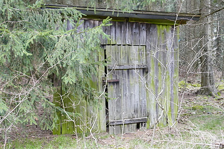 木材, フォレスト, 小屋, 古い