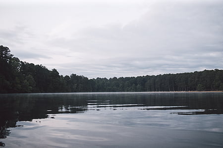 lake, landscape, nature, reflections, pond, trees, reflection