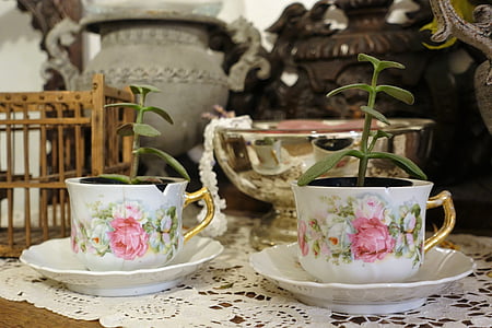 чашки чая, Винтаж, растения
