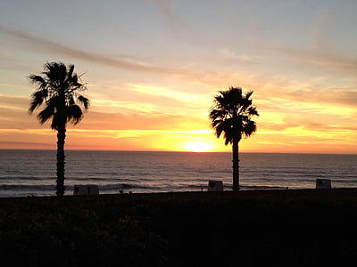 Messico, palme, tramonto, oceano, spiaggia