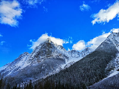 山, 通过, 雪, 风景名胜, 户外, 旅游, 攀爬