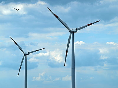 технология, природата, човешки, турбина, околна среда, електричество, вятърни турбини