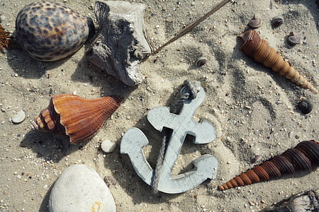 anchor, mussels, sand, maritime, deco, decoration, holiday