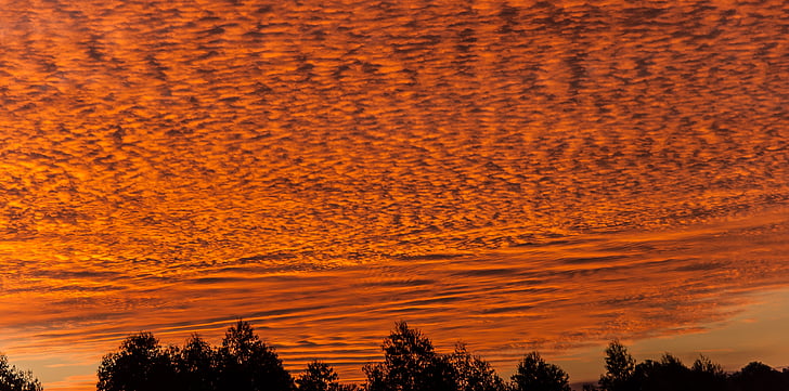 solnedgang, himmelen, skyer, oransje, gull, mønster, Australia