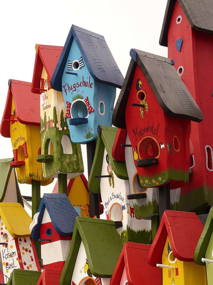 Aviary, sarang, rumah, burung, membangun, bermain-main, warna-warni