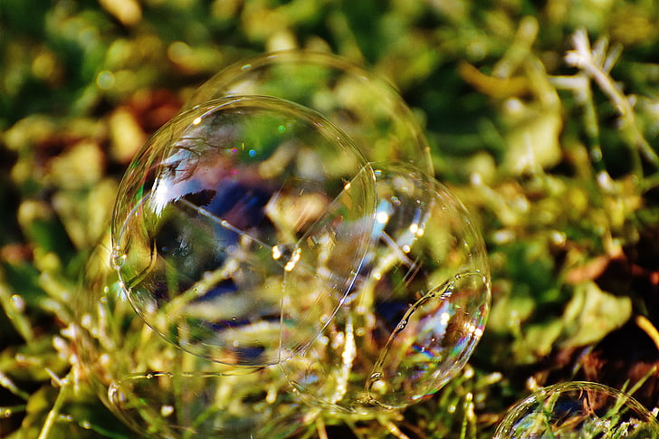 ziepju burbulis, krāsains, pļavas, bumbas, ziepjainajā ūdenī, padarīt ziepju burbuļi, Float