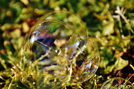 soap bubble, colorful, meadow, balls, soapy water, make soap bubbles, float