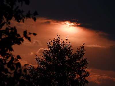 Abendstimmung, zachód słońca, chmury, drzewa, sylwetki