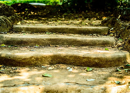 escadas, passos, escada, velho, pedra, Templo de, antiga