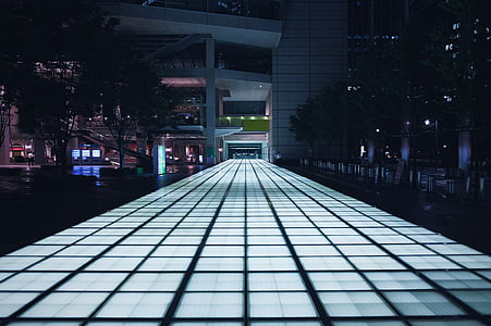 superficial, enfocament, fotografia, paviment, Japó, Tòquio, nit