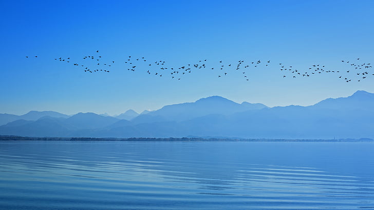 silhouette, landscape, chiemsee, sky, mountains, migratory birds, water