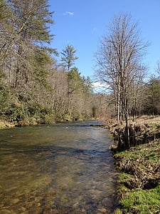 stream, river, trees, nature, water, bank, natural water