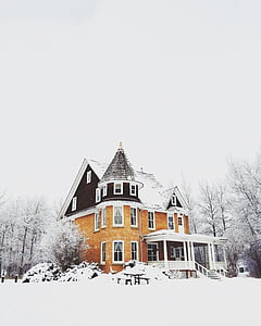 building, cold, house, nature, sky, snow, trees