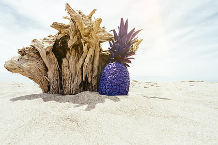 紫, パイナップル, ホワイト, 砂, 昼間, ビーチ, 流木