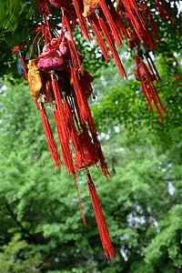 Jin-li, Drzewo życzeń, czerwony, Pokrowiec