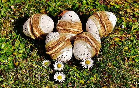 Semana Santa, huevo, huevos de Pascua, Prado, primavera, Feliz Pascua de resurrección, flor