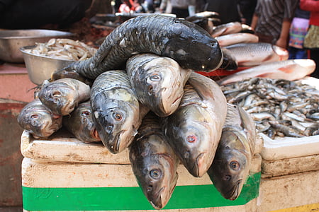 Рыба, обработка рыбы, стенд рыбы, Непал, Катманду