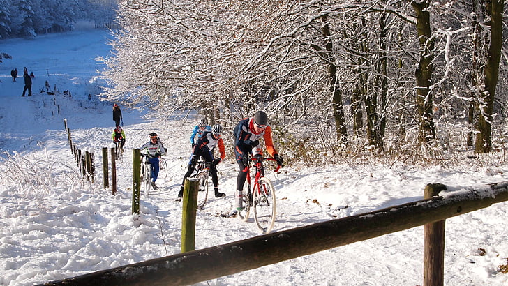 neu, turó, l'hivern, arbre, Perspectiva, Ciclisme, carreres