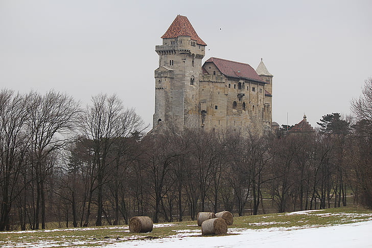 Burg Lichtenstein, Schloss, Lichtenstein, im Mittelalter, Ritterburg, Mödling