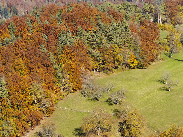krajina, na podzim, podzimní krajina, Les, pole, Příroda, barvy