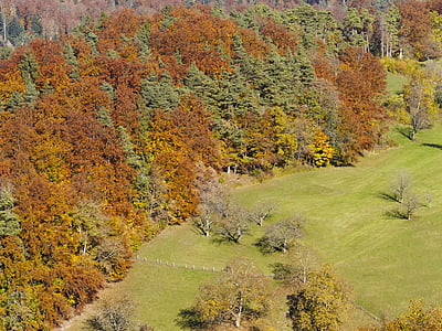 landscape, fall, autumn landscape, forest, field, nature, colors