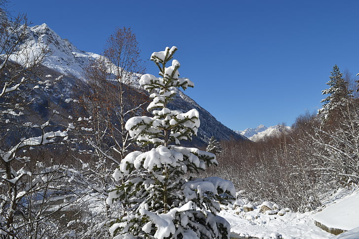 mountains, winter, landscape, trees, nature