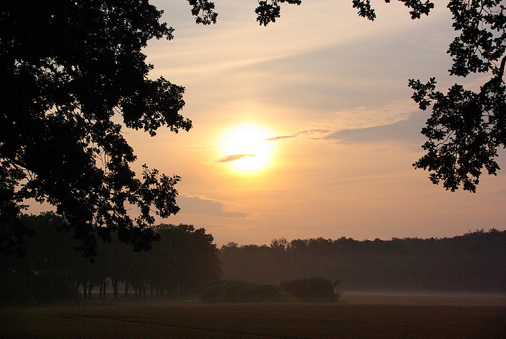 Sunce, magla, jutro Pozdrav, priroda, polje, šuma, kat