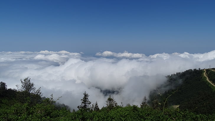 Georgien, Berge, Wolken, die Spitze des Berges, weiße Wolken, Wald, Grün