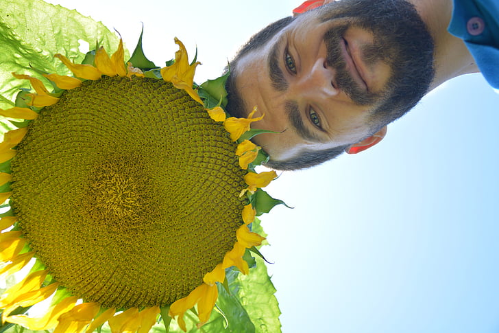 sunflower, day, solar, men's, face, nature, outdoors