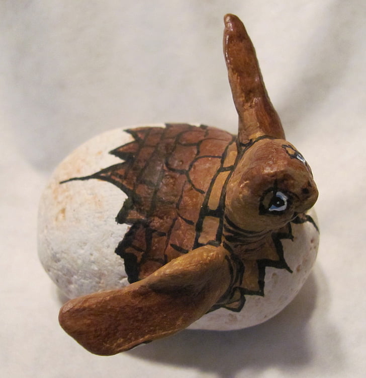 skildpadde, malede sten, uægte, Loggerhead turtle, håndværk, hjemmelavet