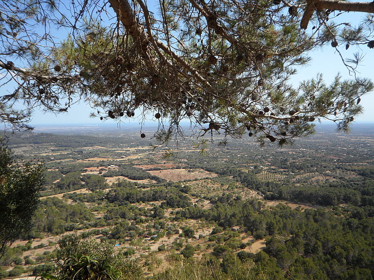 Mallorca, maastik, Outlook, põllumajandus, Vaade, visioon, suvel
