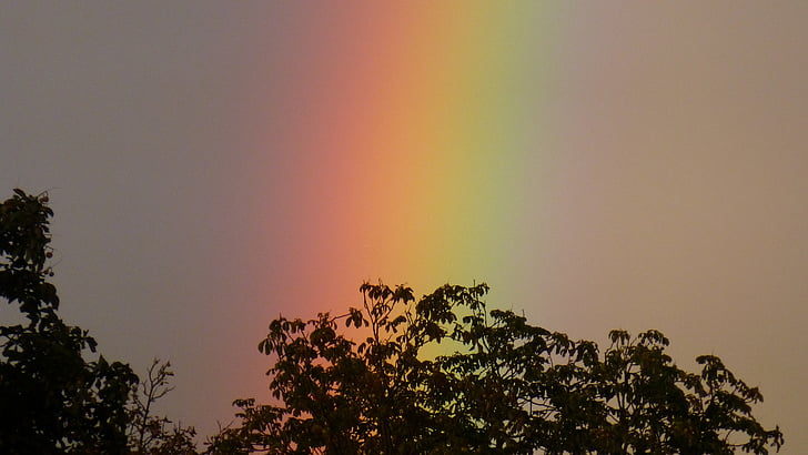 rainbow, rain, spectrum, nature, mood, clouds, sky
