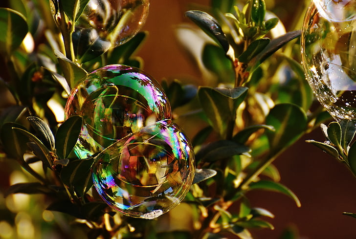 ziepju burbulis, krāsains, buxbaum, Buxus, bumbas, ziepjainajā ūdenī, padarīt ziepju burbuļi