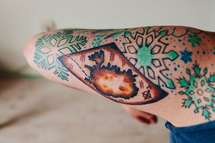 persona, verde, marrón, nieve, escamas de la, brazo, tatuaje
