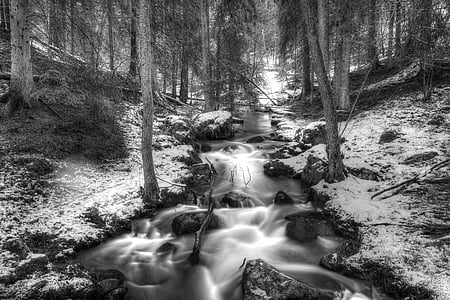 forest, brook, winter, swedish nature, creek, waterfall, sweden