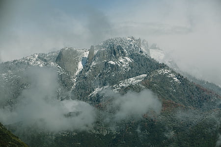 kalnų, kraštovaizdžio, didžiausia, aukščiausiojo lygio susitikime, sniego, medžiai, pušys