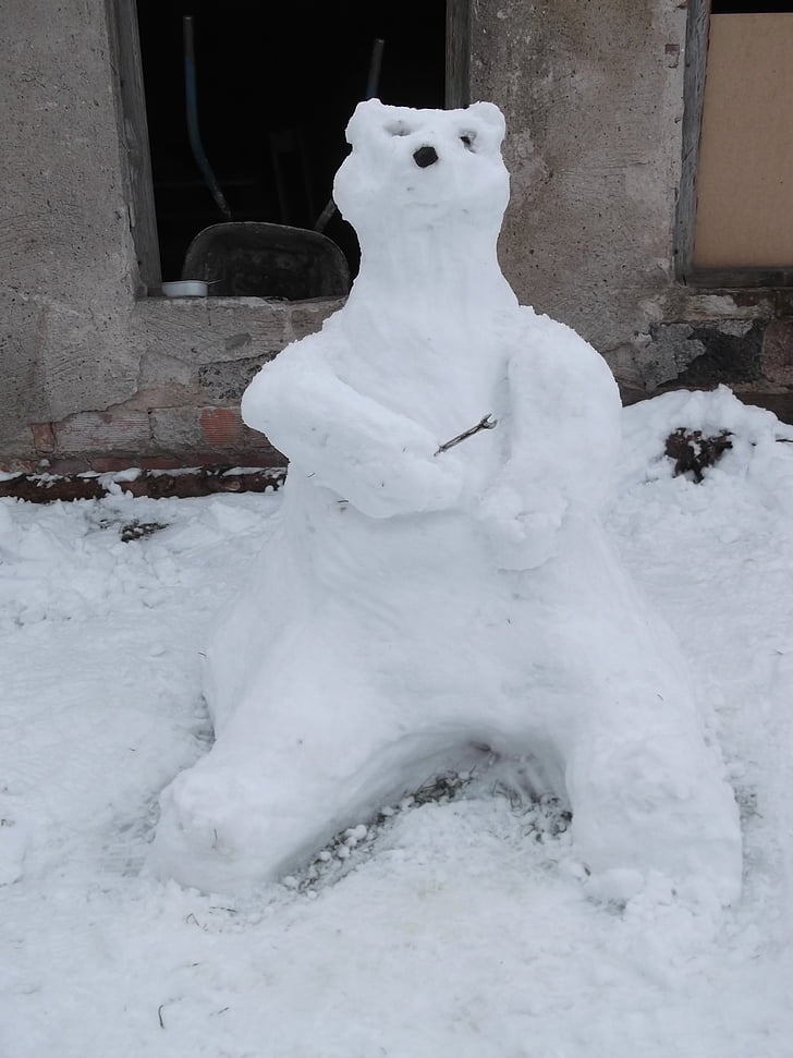 beruang, salju, musim dingin, bekerja, embun beku, patung, kreativitas