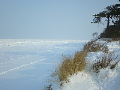 остров Узедом, Зима, Балтийское море, снег, Белый, холодная, Зимний