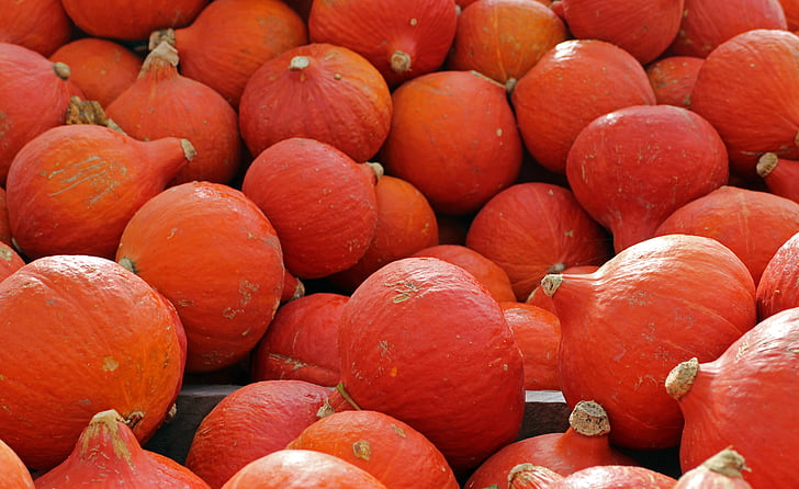 citrouilles, Hokkaido, automne, octobre, moisson, légumes, orange