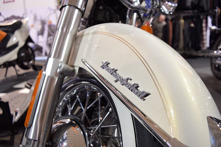 Harley davidson, bici, moto, motore, moto, trasporto, Harley